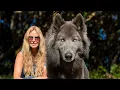 AMERICAN BLUE BAY SHEPHERD DOG - He s HUGE BLUE Super RARE