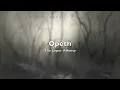 Opeth - The Leper Affinity