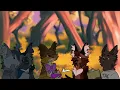 Warrior Cats Book Club | Episode 6 | The Darkest Hour