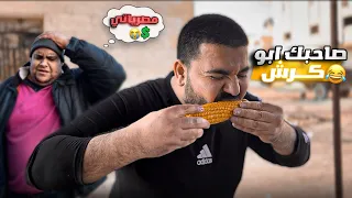 عصفور قرر يفتح بسطة بليلة بس ما كملت معو 