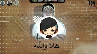 غناء حمو بيكا و فيلو و ابو ليلة    مهرجان هلا والله بل دابة                 دندنها