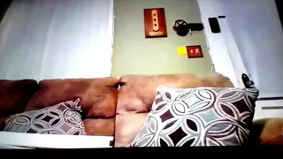 Andrew Reams Dieselducy Says Ow 