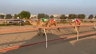 التلة 26 10 2025 هده بدر حمد محمد الدرعي ايذاع ش 5 