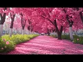 Download Lagu Gentle healing music for health and calming the nervous system, deep relaxation #37