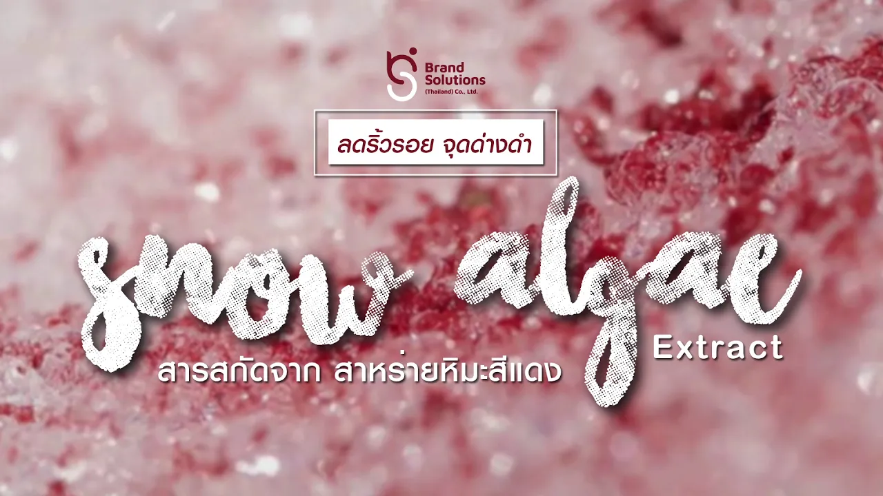 7 OEM รับสร้างแบรนด์ ผลิตสินค้า คุณภาพเยี่ยม เพื่อให้คุณไปสู้ในตลาดได้อย่างมีชั้นเชิง #โรงงานรับผลิต. 