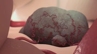 A new type of immune cell which kills most cancers has been discovered by Cardiff University scienti. 