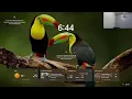 Web Development LIVE MasterClass 2 Hours HTML CSS JavaScript Full Stack Roadmap for Beginners