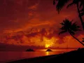 ~~  Buddha Bar ~~Omar Faruk Tekbilek - I Love You.flv