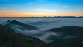 Ahmed Spins Feat Lizwi Waves Wavs 