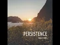 Persistence