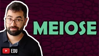 Meiose  - Aula 33 - Módulo I: Biologia Celular | Prof. Gui