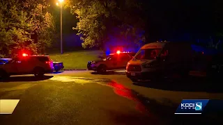 Des Moines Police Brother stabs brother in fight over candy