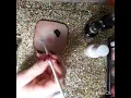 Debbie s Dream Nails and other things