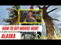 How to DIY Moose Hunt In AK Plan Your DIY Alaskan Moose Hunt Know the REAL cost