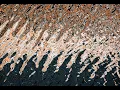 Eddy s Diffusion vs Molecular Diffusion Whirlpool and Turbulence Lec123