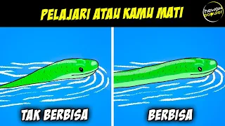 Download Cara Tepat Mengetahui Perbedaan Ular Berbisa dan Tidak Berbisa MP3