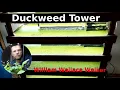 Lagu Duckweed GrowTower