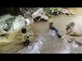 Download Lagu The miserable life of a woman goes to catch stream fish There are many giant fish Ly Tu Nhien