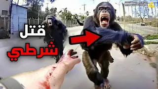 عندما يقاتل رجال الشرطة حيوانات خطيرة 