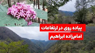 پیاده روی کوتاه در ارتفاعات امام زاده ابراهیم A Short Walk In The Highlands Of Emamzadeh Ebrahim 
