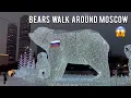 Download Lagu 🇷🇺 Russian bears are walking in snowy ❄️Moscow.Few people have seen this. Aqueduct in Rostokino