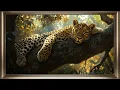 Leopard Frame TV Art Wildlife Screensaver Background For Your TV