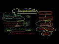 Management Assertions Auditing