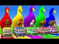 Download Lagu Long Slide Game With Cow Elephant Gorilla Hippopotamus Tiger 3d Animal Game Funny 3d Animals