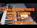 Download Lagu CARA SETTING VOICE PENGIRING IRAMA GAMBUS@cheppicepi5279