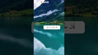 قال يا أيها الملأ 