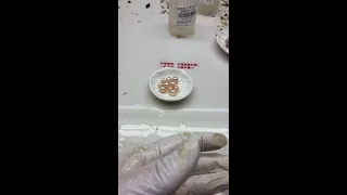                                     دندنها