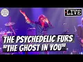 Download Lagu The Psychedelic Furs \