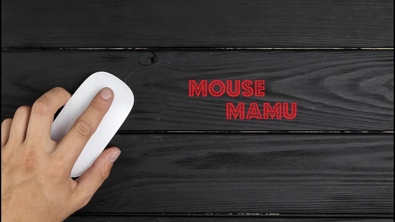 Mouse Mamu Live Stream