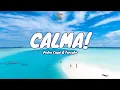 Download Lagu 🎧 Pedro Capó \u0026 Farruko - Calma (Vamos pa la playa) |  Lyric video