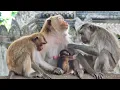 Big family older Sister Melona takes care of tiny sister Jessica with Mom Joanna and sister Jennie