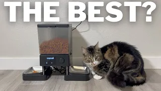 Oneisall Wifi Cat Feeder Review Best Automatic Cat Feeder On Amazon
