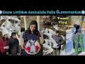 Lagu பனிகட்டி நீர்வீழ்ச்சி பார்க்கலாமா? USA Snow Storm Vlog | Amicalola Falls #diml #usa #2026 #tamil 