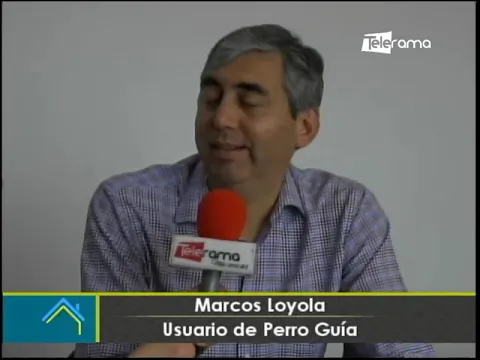 Perro guía brinda apoyo al desplazamiento de personas con discapacidad visual