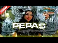 Download Lagu DJ PARTY PEPAS FARUKO COCOK BUAT KARNAVAL 2025 BY: ABG TEAM OFFICIAL ‼️