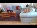 CINDY CRAWFORD STLYE MINT 2PC COUCH SET