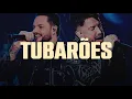 Lagu Diego e Victor Hugo - Tubarões (Letra/Lyrics)