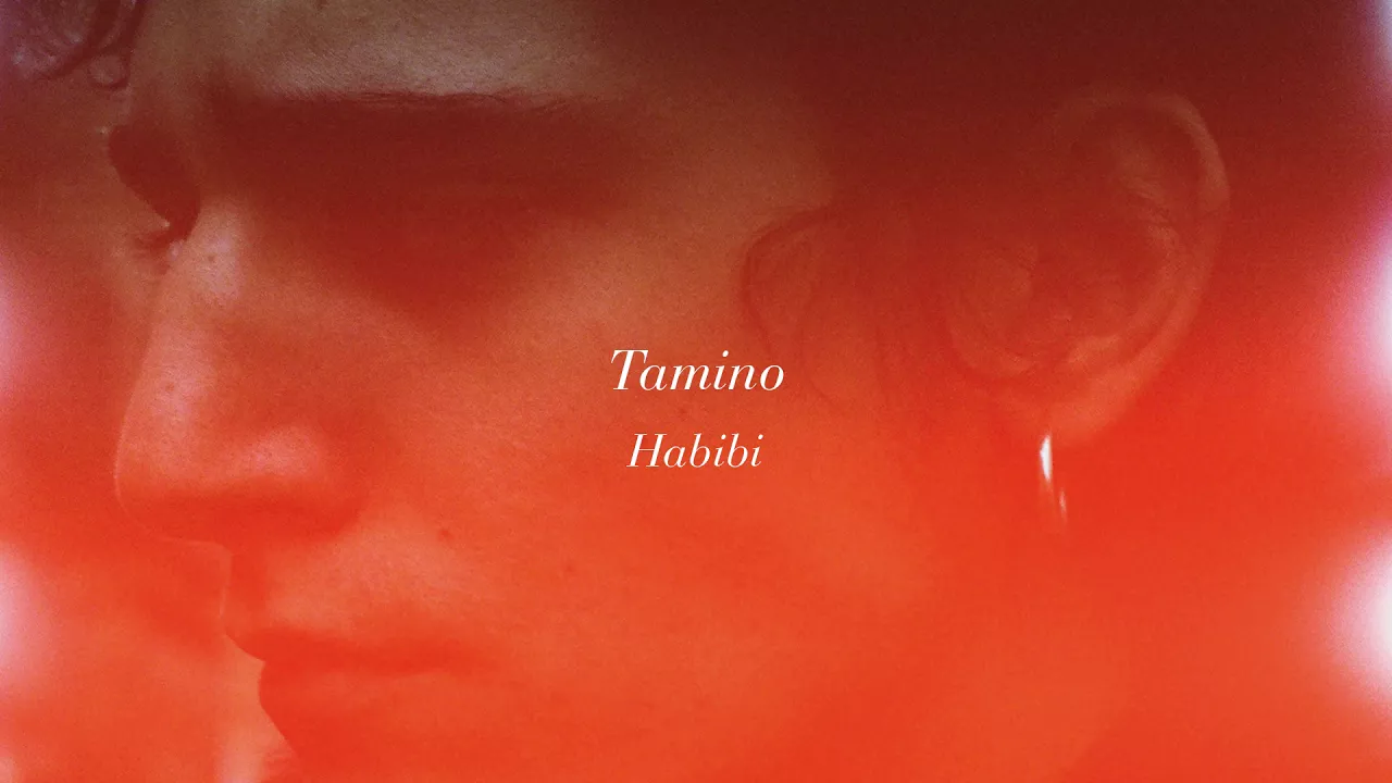 Tamino - Habibi (Audio)
