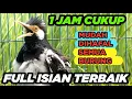 Download Lagu SUARA JALAK SUREN GACOR FULL ISIAN MASTERAN LENGKAP AMPUH untuk PANCING JALAK AGAR CEPAT GACOR