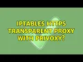 iptables https transparent proxy with privoxy