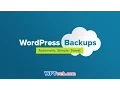 Backup Mysql Database Wordpress Site Free By Plugin Duplicator - WordPress Tutorial 24