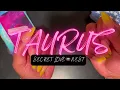 Download Lagu STIER ♉️| … een “ZEER BELANGRIJKE” speling van gebeurtenissen ✅