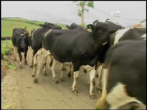 Ecuador Agropecuario 27-04-2017