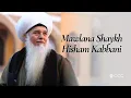 Download Lagu Passing of Mawlana Shaykh Hisham Kabbani - Ammer Aziz