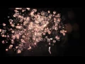 Download Lagu Daisy Beam - Rubro Vuurwerk Demo 25 augustus 2015