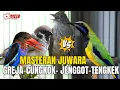 Download Lagu MASTERAN TERBARU!! CUNGKOK KUNTI BESETAN KATEM JENGGOT \u0026 TEMBAK KASARAN PIJANTUNG